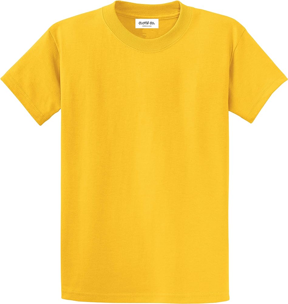 Mens Heavyweight Cotton T-Shirt Plain Tee (Available in Big & Tall)