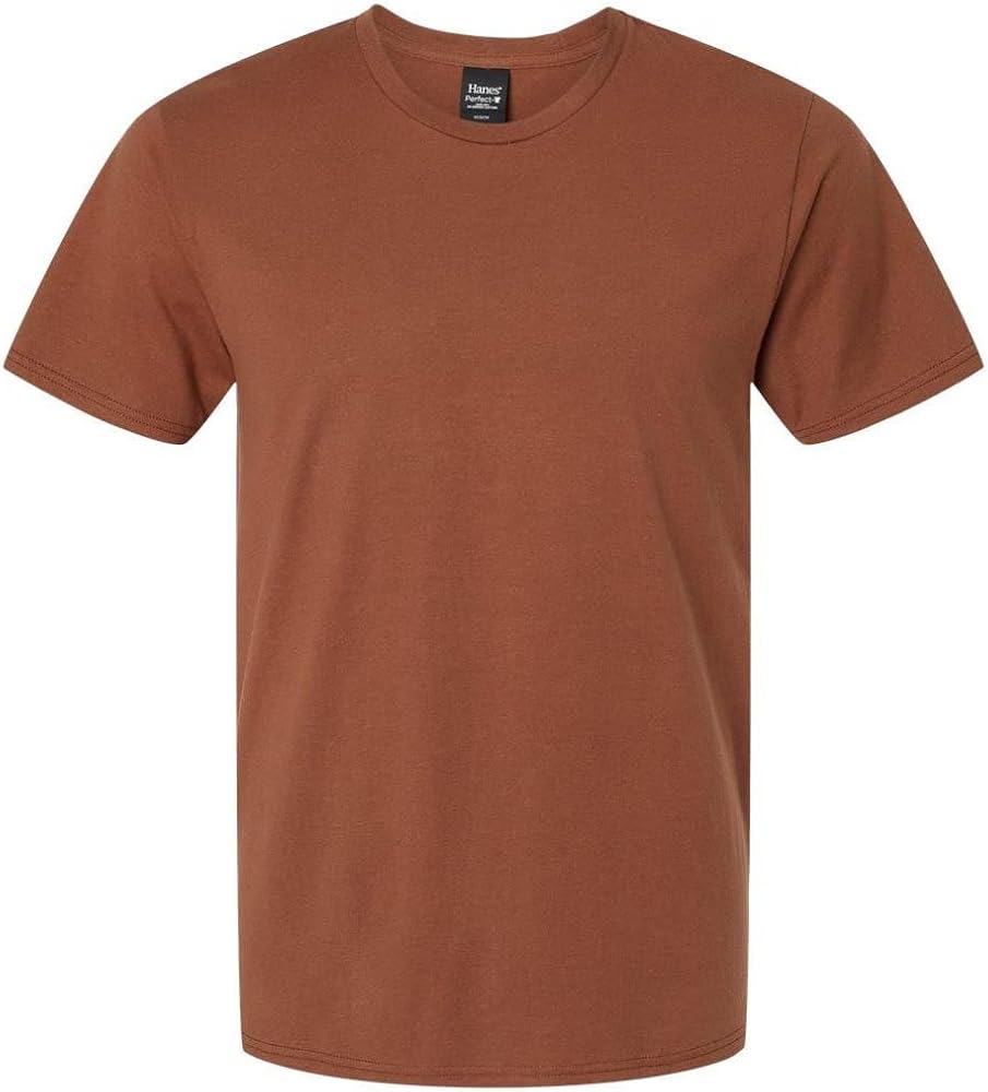 Hanes Mens Nano-T T-Shirt, L, Canyon Rock Brown