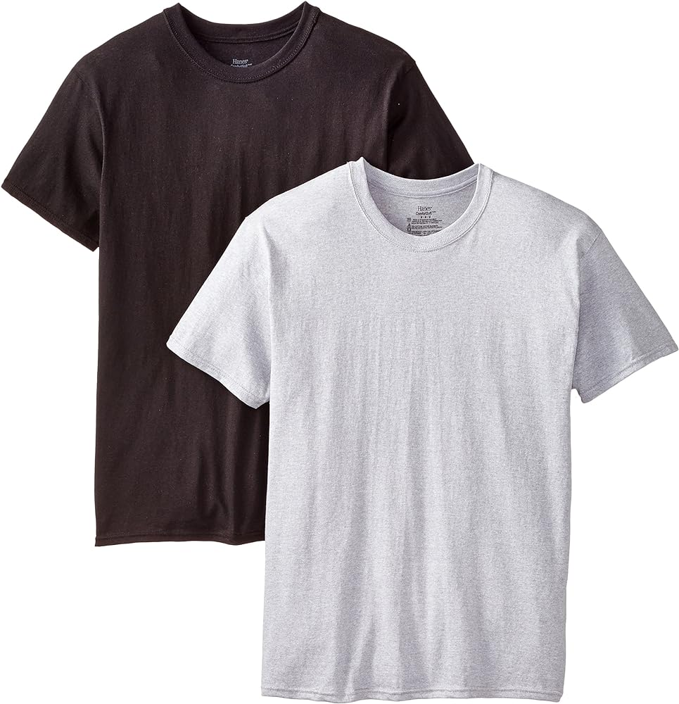 Hanes mens Moisture-Wicking Tee Shirts 2 Pack