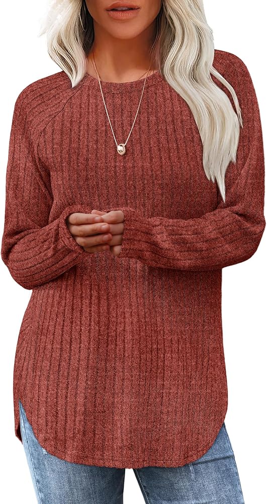 Saloogoe Long Sleeve Shirts for Women Tunic Tops for Women Loose Fit Dressy Crew Neck Pullover Basic Sweaters for Women 2024