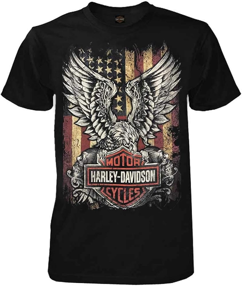 Harley-Davidson Men's Custom Freedom Short Sleeve Crew Neck Tee - Black