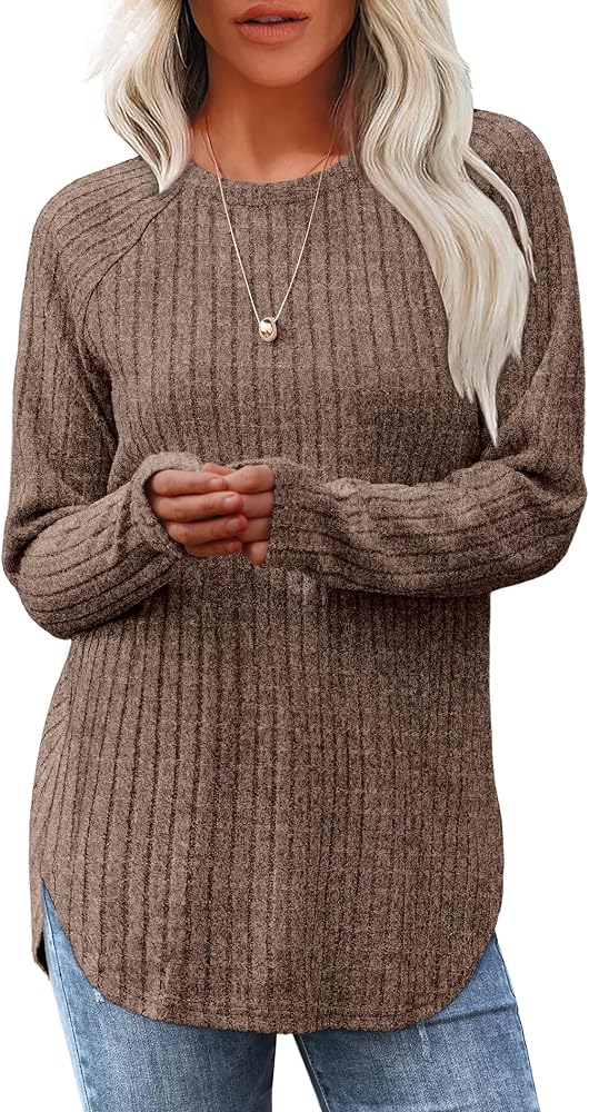 Saloogoe Long Sleeve Shirts for Women Tunic Tops for Women Loose Fit Dressy Crew Neck Pullover Basic Sweaters for Women 2024