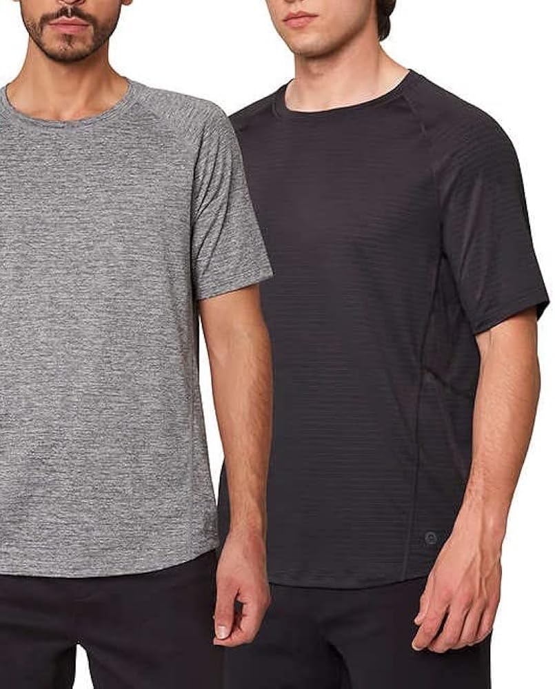 Mondetta Men's Performance Tee, 2-pack (L, Castle Rock/Black)