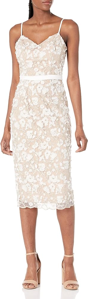 Dress the Population Women's Emma V Neck Embroidered Sleeveless Belted Midi Dress