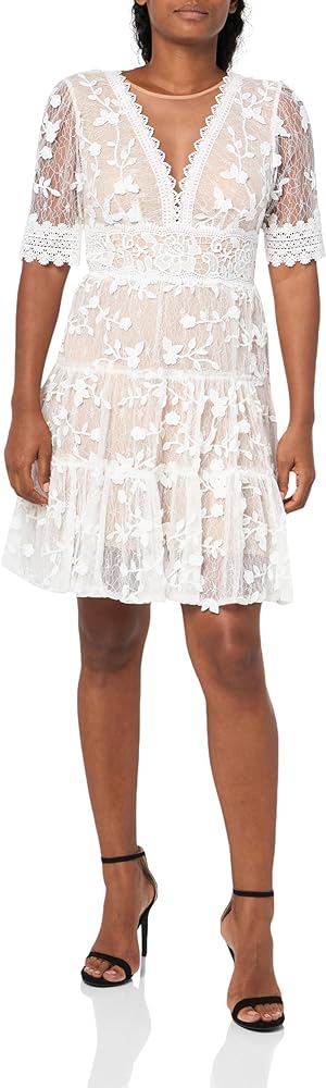 Adrianna Papell Women's Lace Embroidery Dress