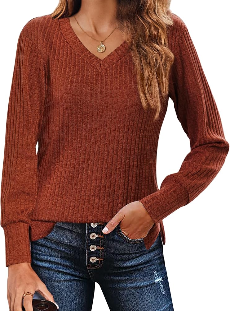 Zeagoo Long Sleeve Shirts for Women V Neck Casual Sweaters Basic Knit 2024 Fall Fashion Pullover Tops