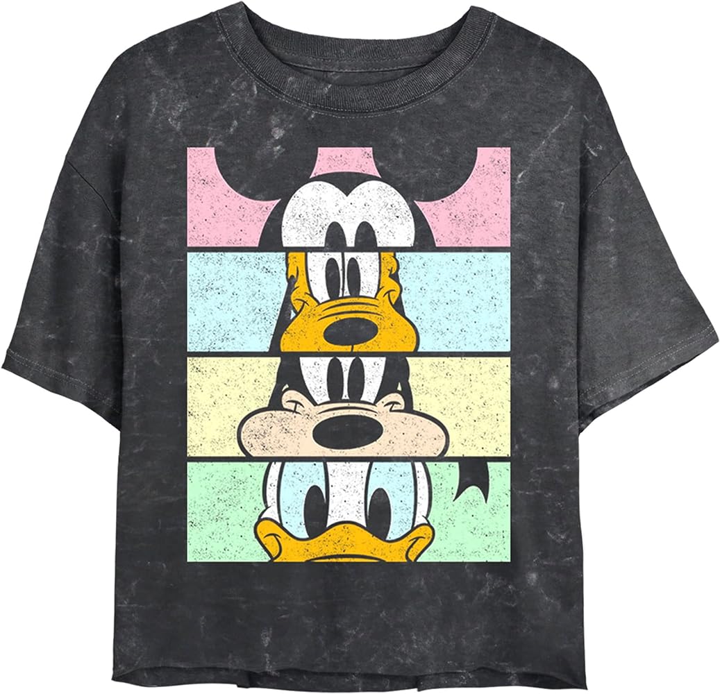 Disney Characters Crew Women's Mineral Wash Short Sleeve Crop Tee